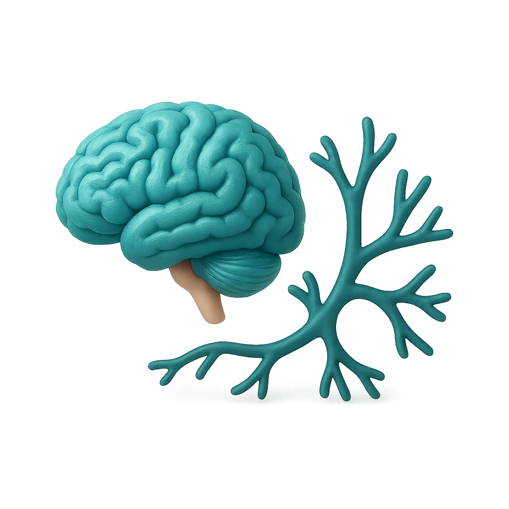 autonomic nervous system
