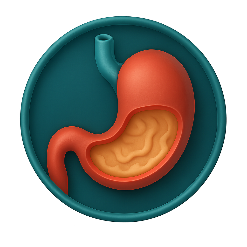 gasrointestinal system
