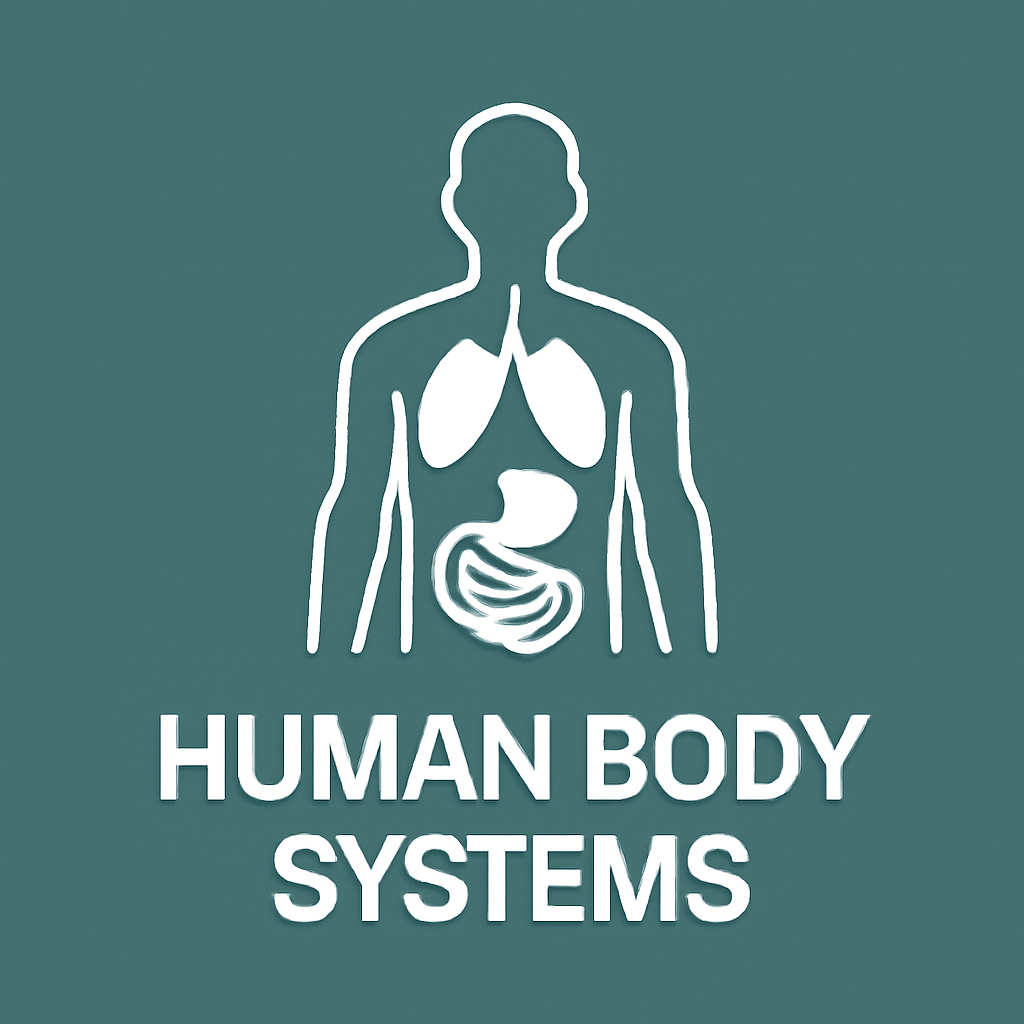 human body systems
